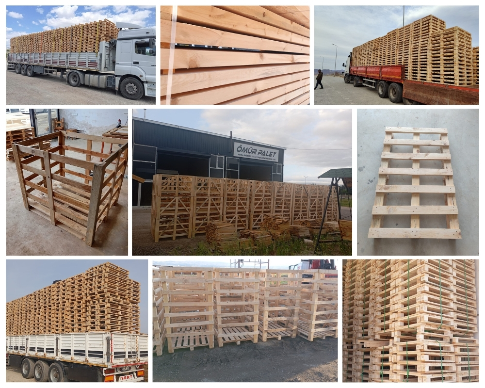 Dartmouth Wooden Pallets, Buy Wooden Pallets Wholesale